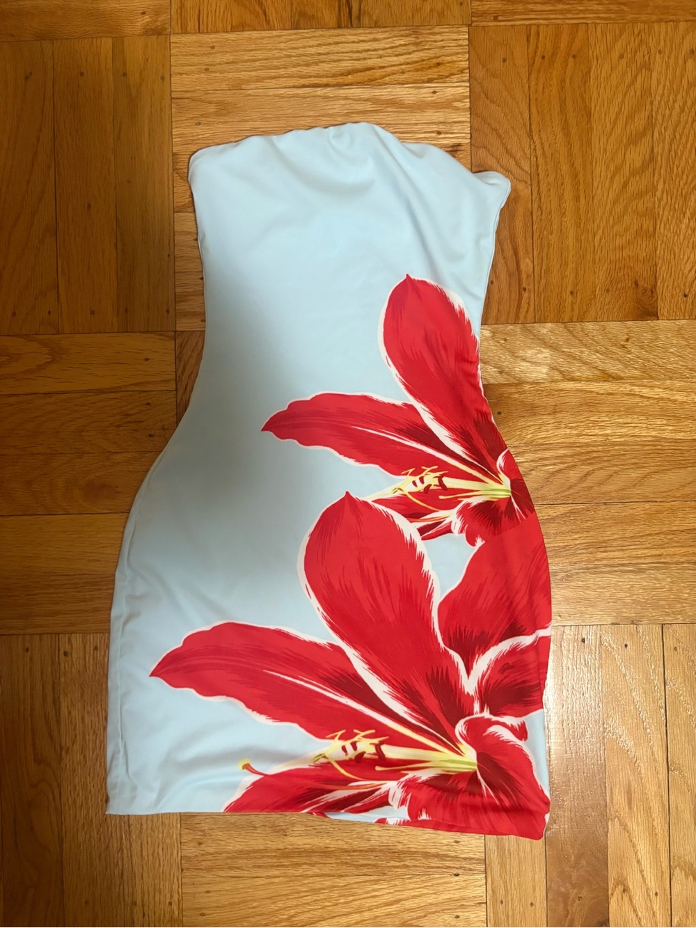 Windsor Strapless Light Blue Dress with Red Floral Print